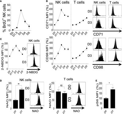 Expression of Nutrient Transporters on NK Cells During Murine Cytomegalovirus Infection Is MyD88-Dependent